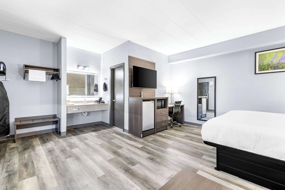 Standard Room, 1 King Bed, Non Smoking | Desk, iron/ironing board, WiFi (free), alarm clocks