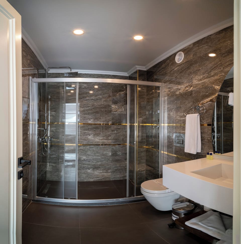 Panoramic Suite | Bathroom | Shower, rainfall showerhead, free toiletries, hair dryer