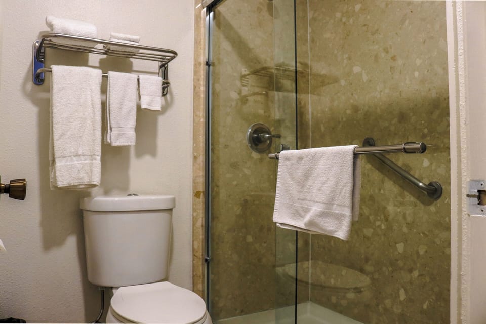 Free toiletries, hair dryer, towels
