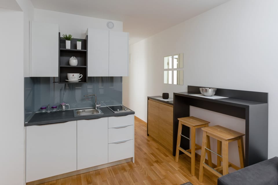 Standard 1 bedroom apartment with balcony | Private kitchenette | Fridge, stovetop, cleaning supplies, freezer