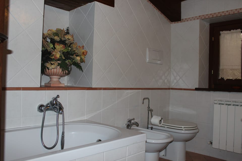 Free toiletries, hair dryer, bidet, towels
