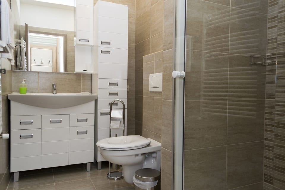 Deluxe Double Room, 1 Queen Bed, Courtyard View, Courtyard Area | Bathroom | Shower, hair dryer, towels, soap