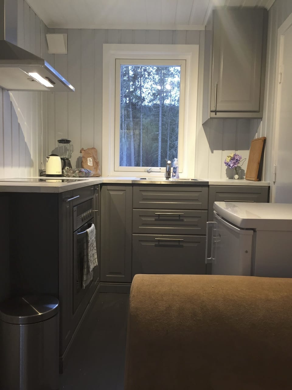 Family Cabin, 1 Bedroom, Mountain View | Private kitchen | Fridge, stovetop, dishwasher, coffee/tea maker