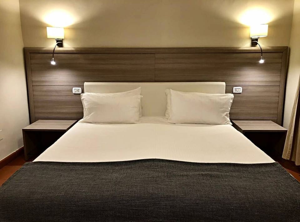 Deluxe Double Room, 1 King Bed, City View | Premium bedding, down comforters, minibar, in-room safe