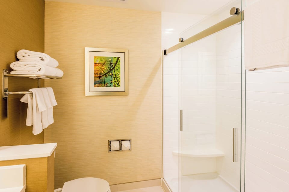 Free toiletries, hair dryer, towels