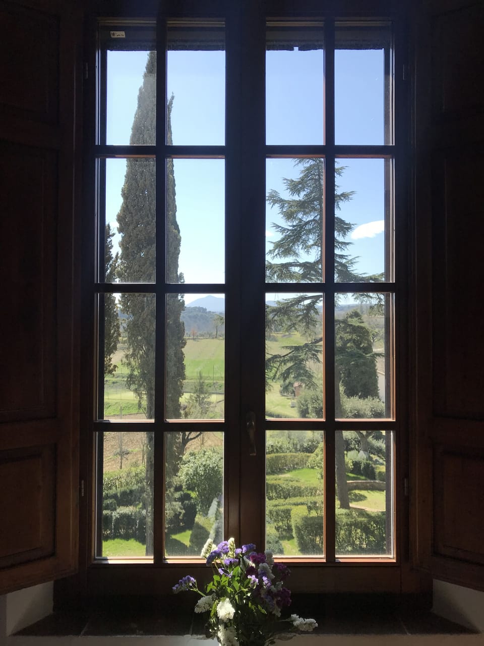View from property