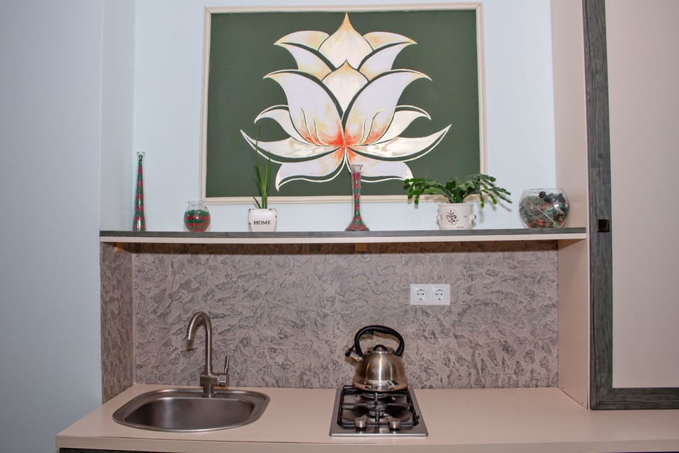 Family Apartment, 2 Bedrooms, City View | Private kitchen