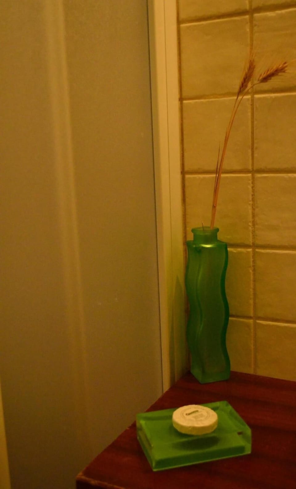 Shower, free toiletries, towels