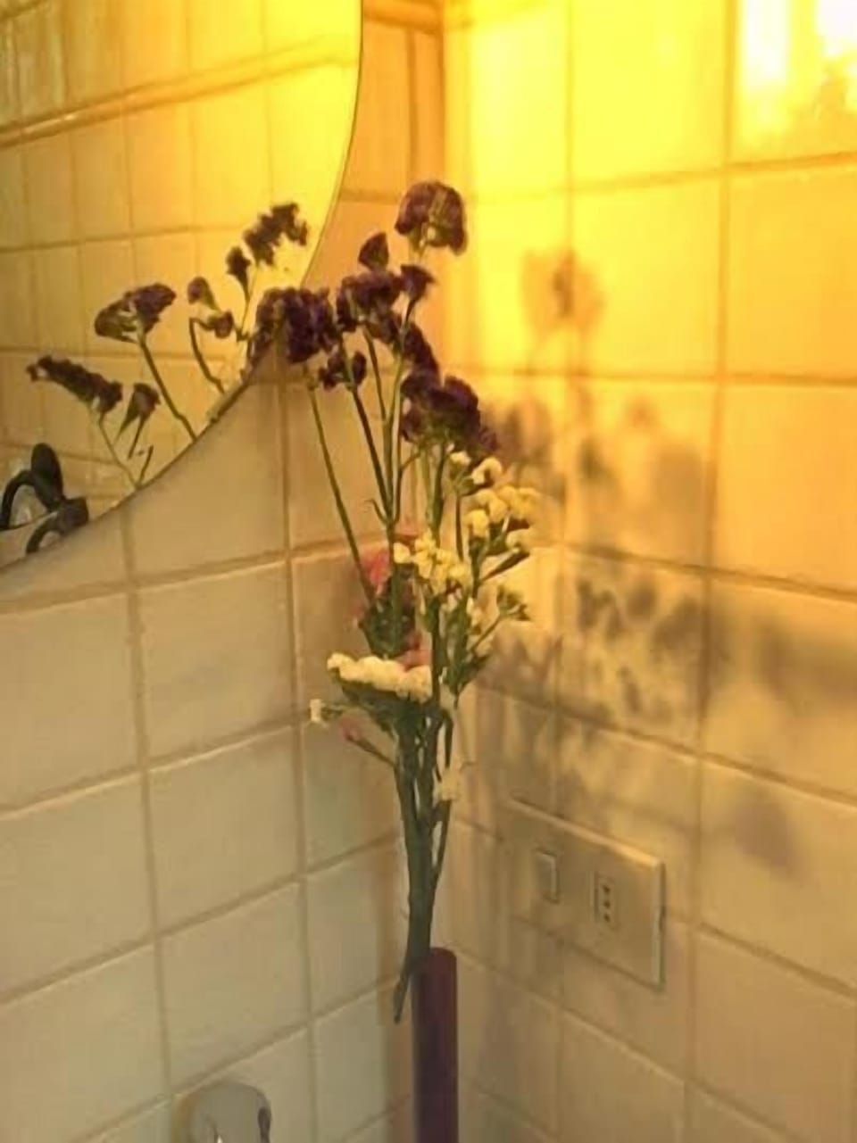 Shower, free toiletries, towels