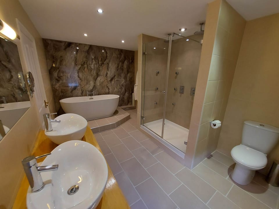 Honeymoon Suite | Bathroom | Free toiletries, hair dryer, bathrobes, towels