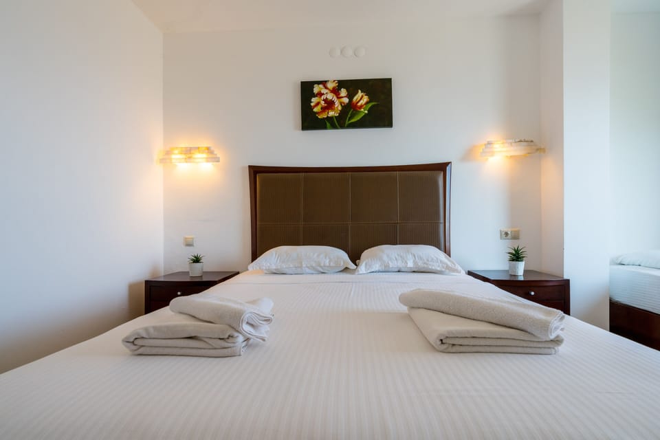 Standard Double Room, 1 Queen Bed | Minibar, desk, free cribs/infant beds, free WiFi