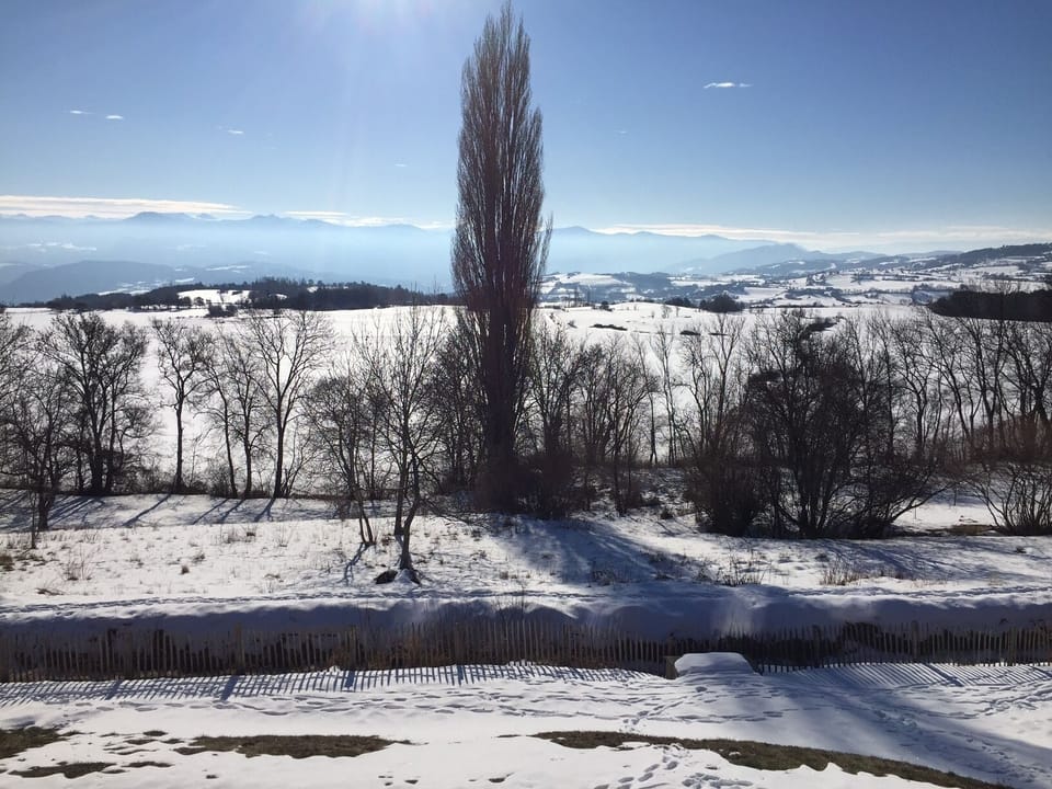 View from property
