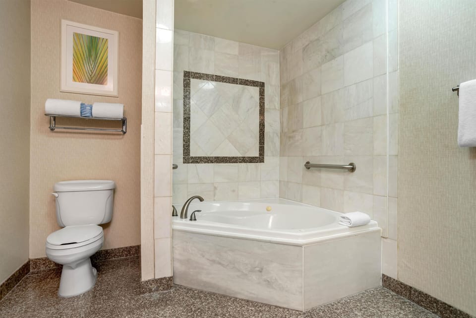 Combined shower/tub, free toiletries, hair dryer, towels