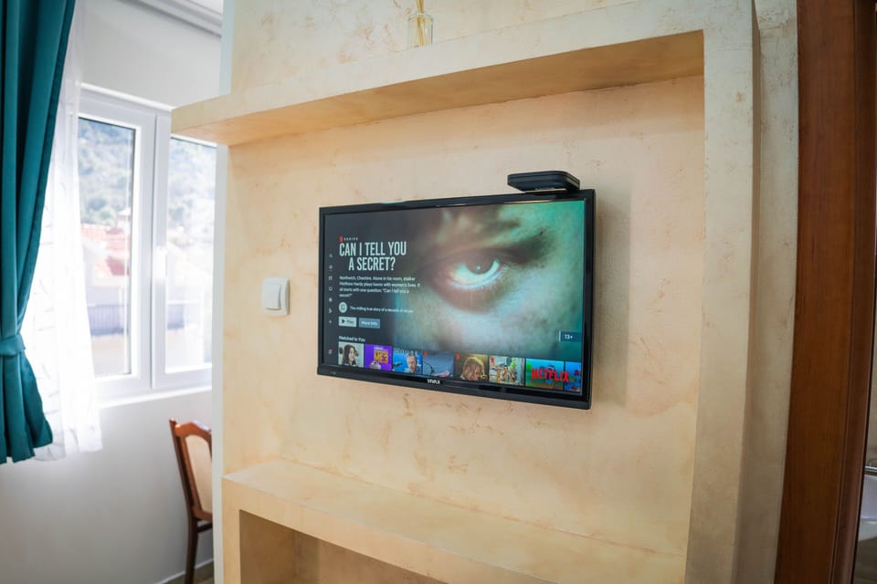 Television