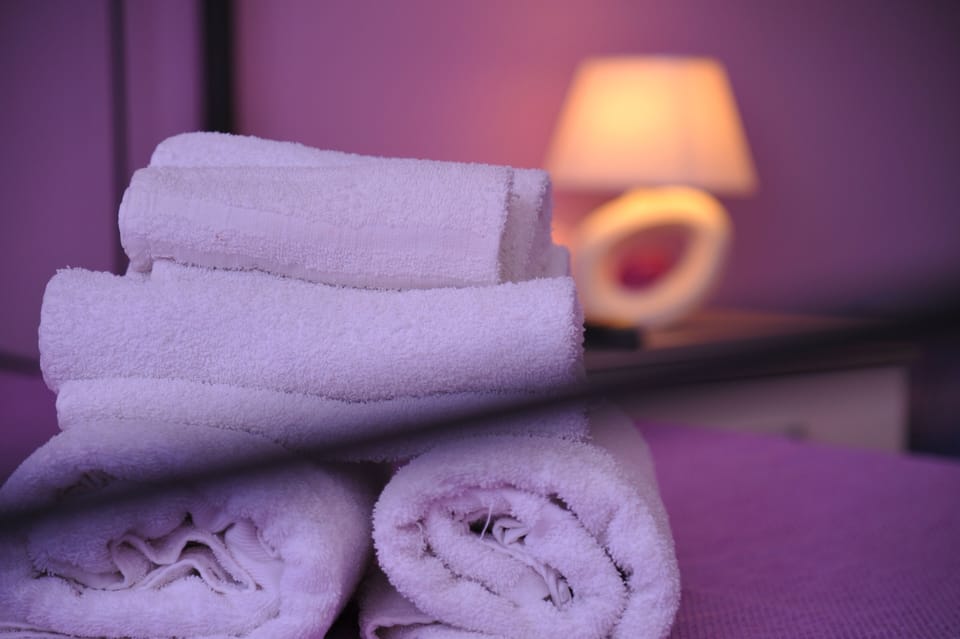 Deluxe Double or Twin Room | 1 bedroom, hypo-allergenic bedding available, down comforters