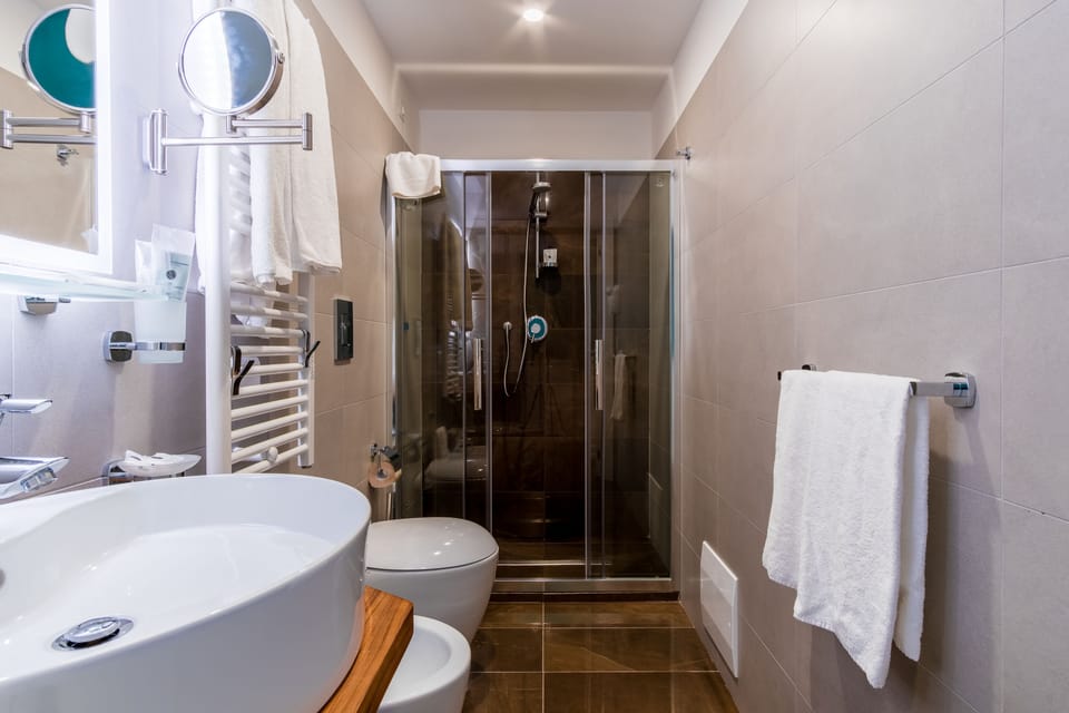 Shower, hair dryer, bathrobes, bidet