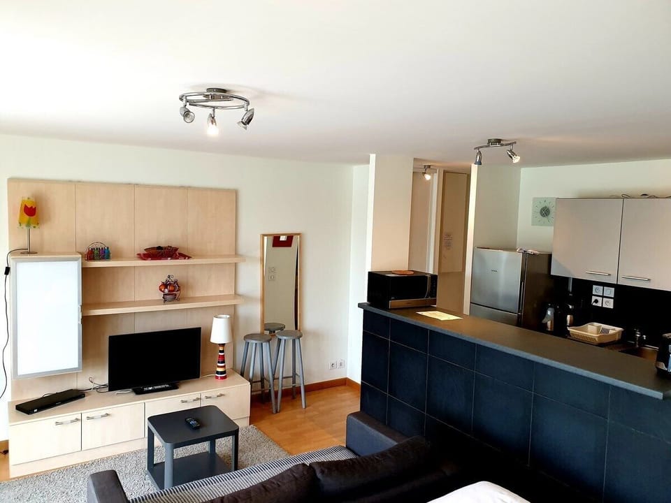 Studio 32m2, Terrace, Sea View 404 | Living area | Flat-screen TV