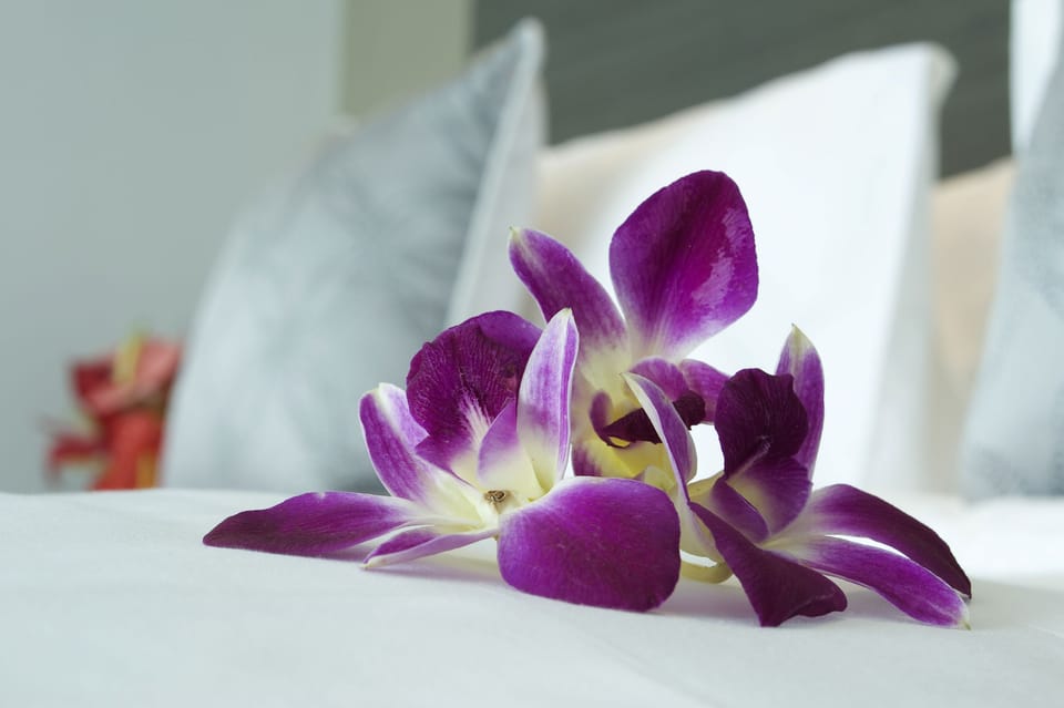 Standard Room, 2 Twin Beds | Desk, soundproofing, iron/ironing board, free WiFi