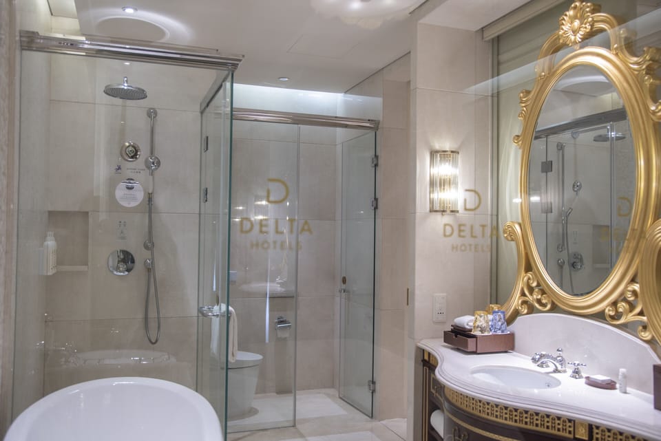 Shower, free toiletries, hair dryer, bathrobes