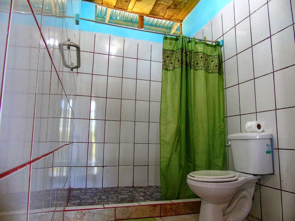 Shower, free toiletries, towels