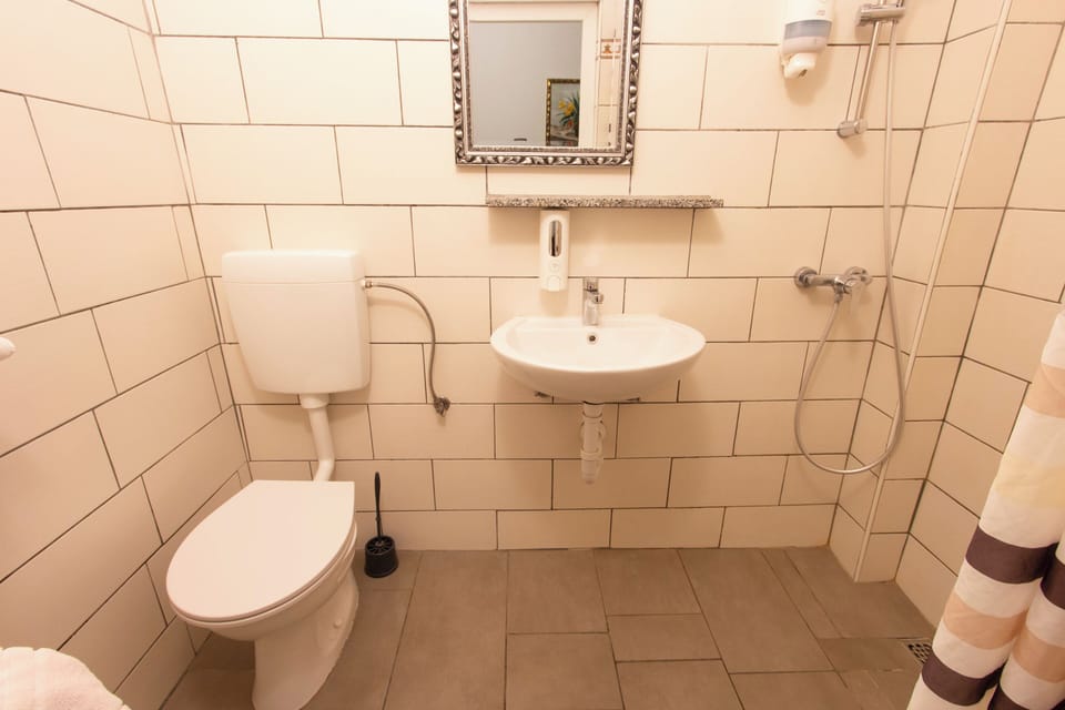 Hair dryer, towels, shampoo, toilet paper