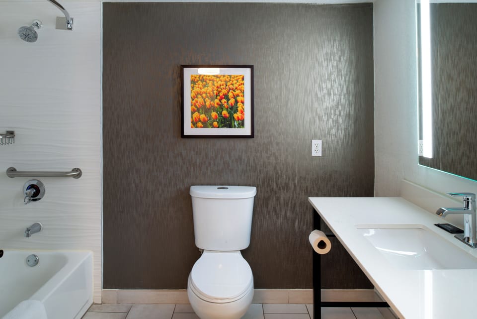 Room, 1 King Bed, Accessible, Non Smoking (Mobility Accessible) | Premium bedding, pillowtop beds, desk, blackout drapes