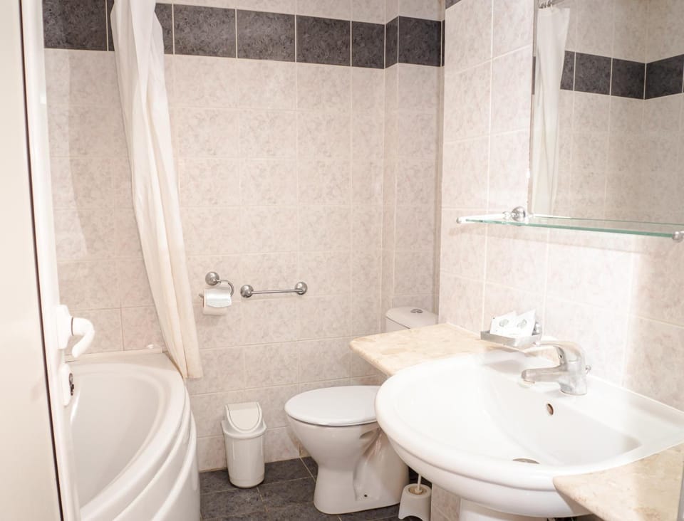 Bathtub, hair dryer, bidet, towels