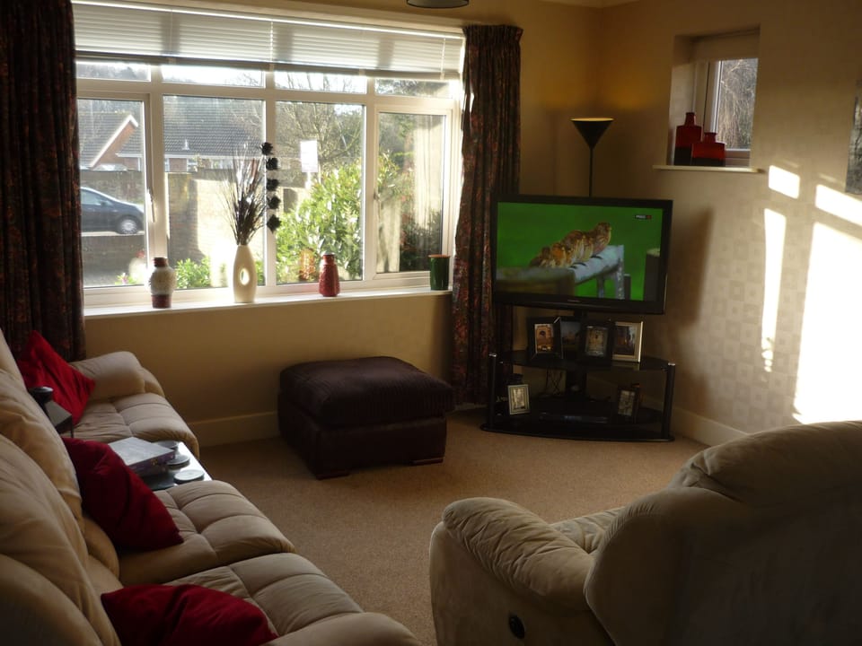 Deluxe Double Room, Bathtub | Living area | 14-inch flat-screen TV with digital channels, TV