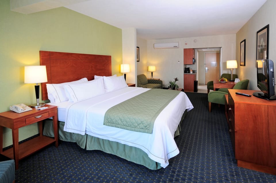 Suite, 1 King Bed | In-room safe, desk, iron/ironing board, WiFi (free)