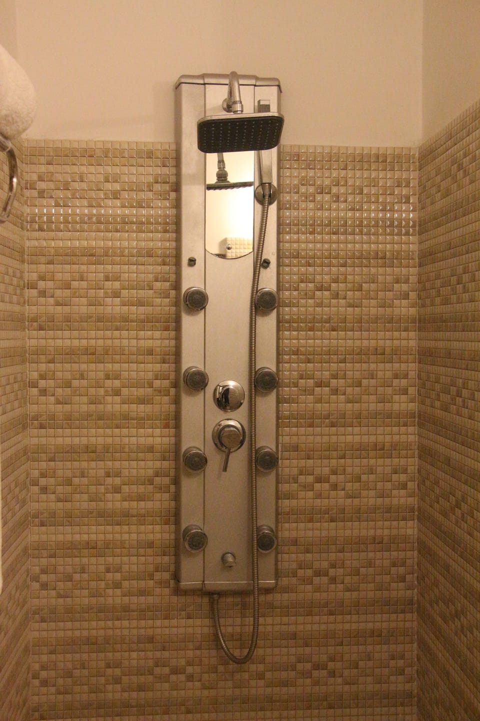 Family Suite, 1 King Bed, City View, Executive Level | Bathroom shower