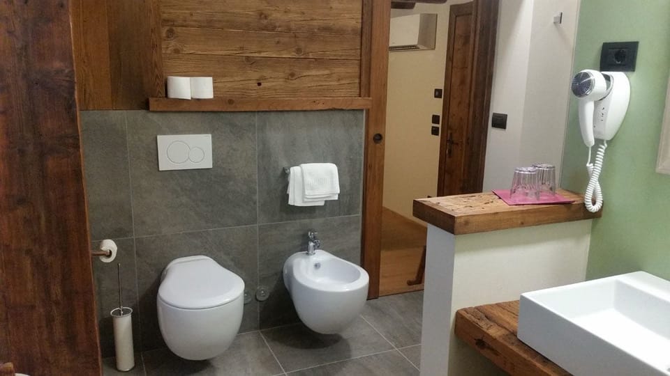 Shower, free toiletries, hair dryer, bidet