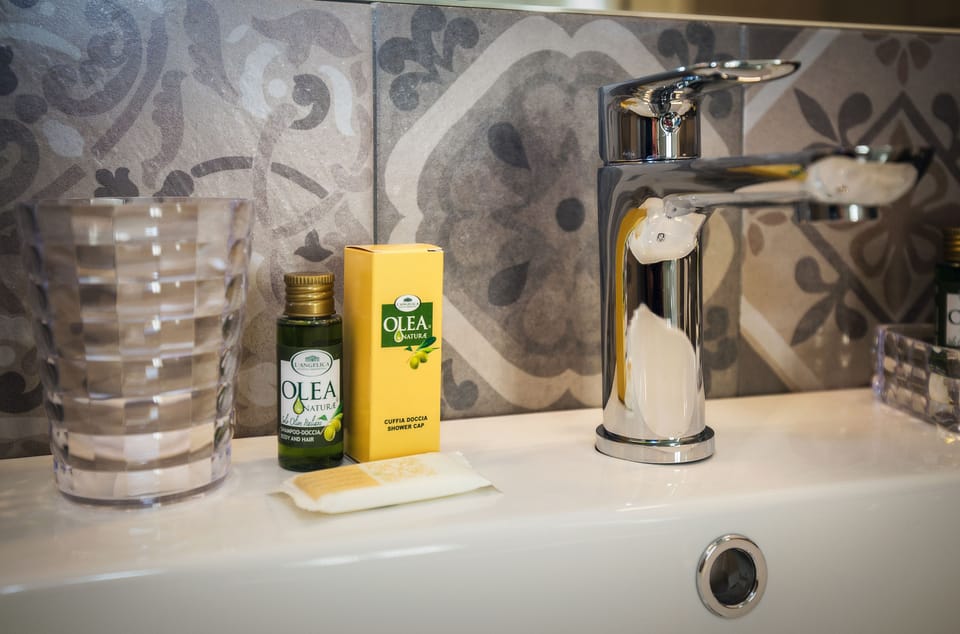 Shower, free toiletries, hair dryer, slippers