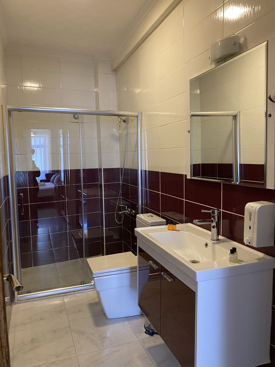 Deluxe Room | Bathroom | Shower, rainfall showerhead, free toiletries, hair dryer