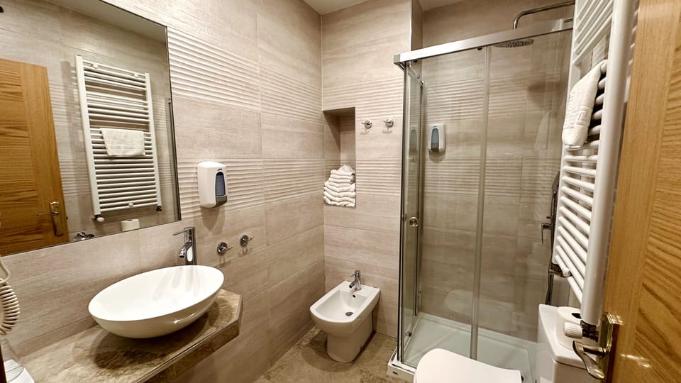 Hair dryer, bidet, towels