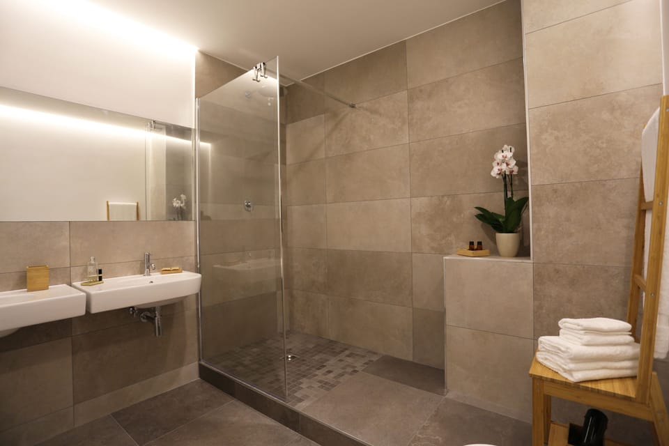Deluxe Room | Bathroom | Shower, rainfall showerhead, free toiletries, hair dryer