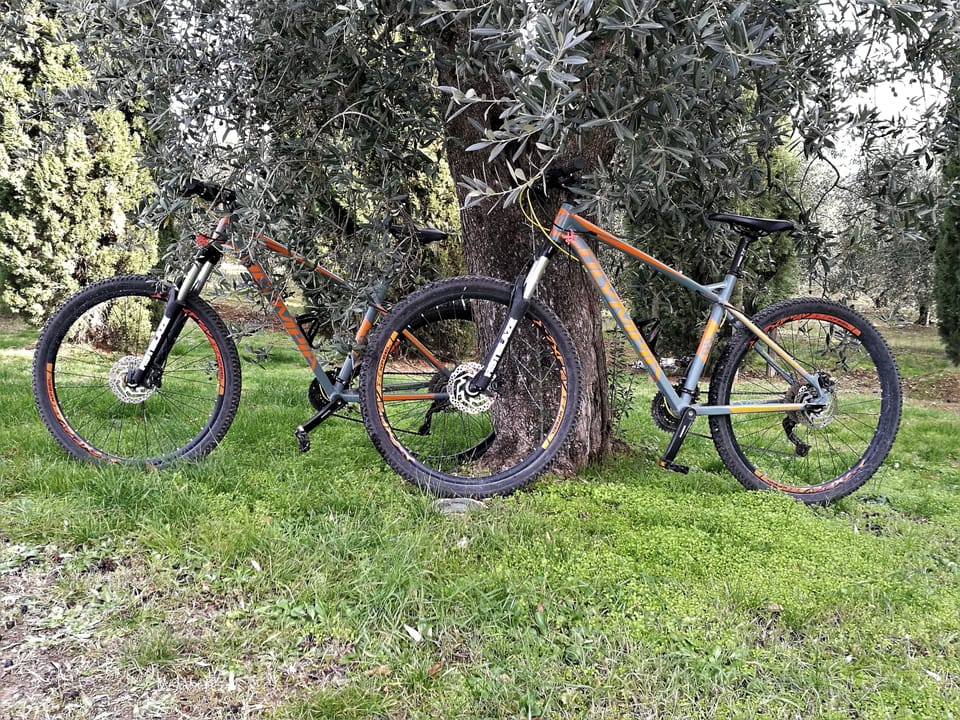 Bicycling