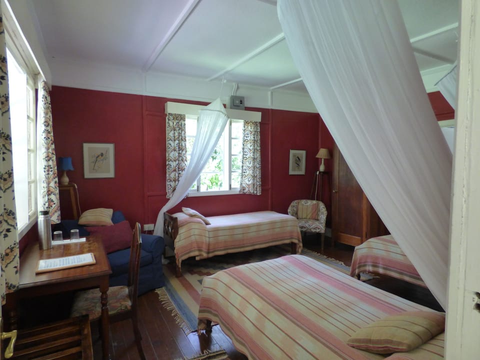 Egyptian cotton sheets, premium bedding, down comforters