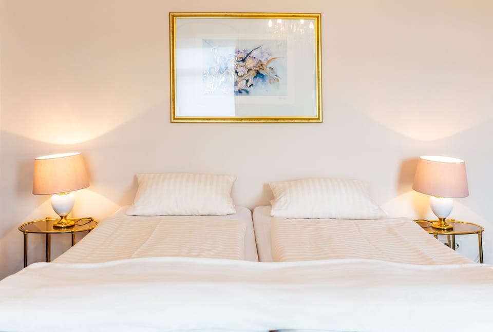 Standard Double Room, 1 Bedroom, Balcony, River View | Hypo-allergenic bedding, down comforters, in-room safe, soundproofing