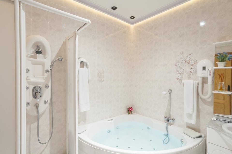 Shower, hair dryer, bidet, towels