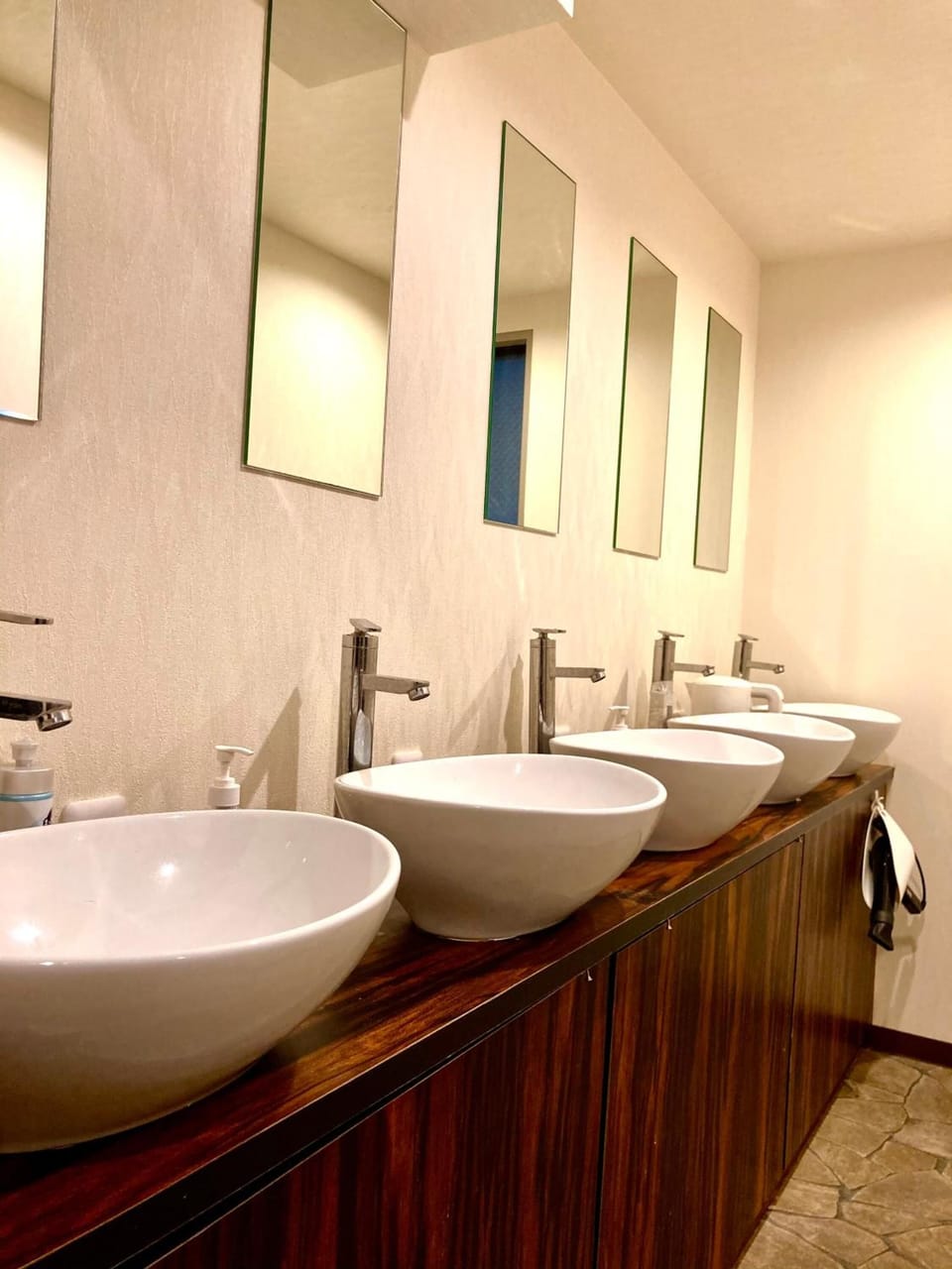 Hair dryer, slippers, bidet, towels