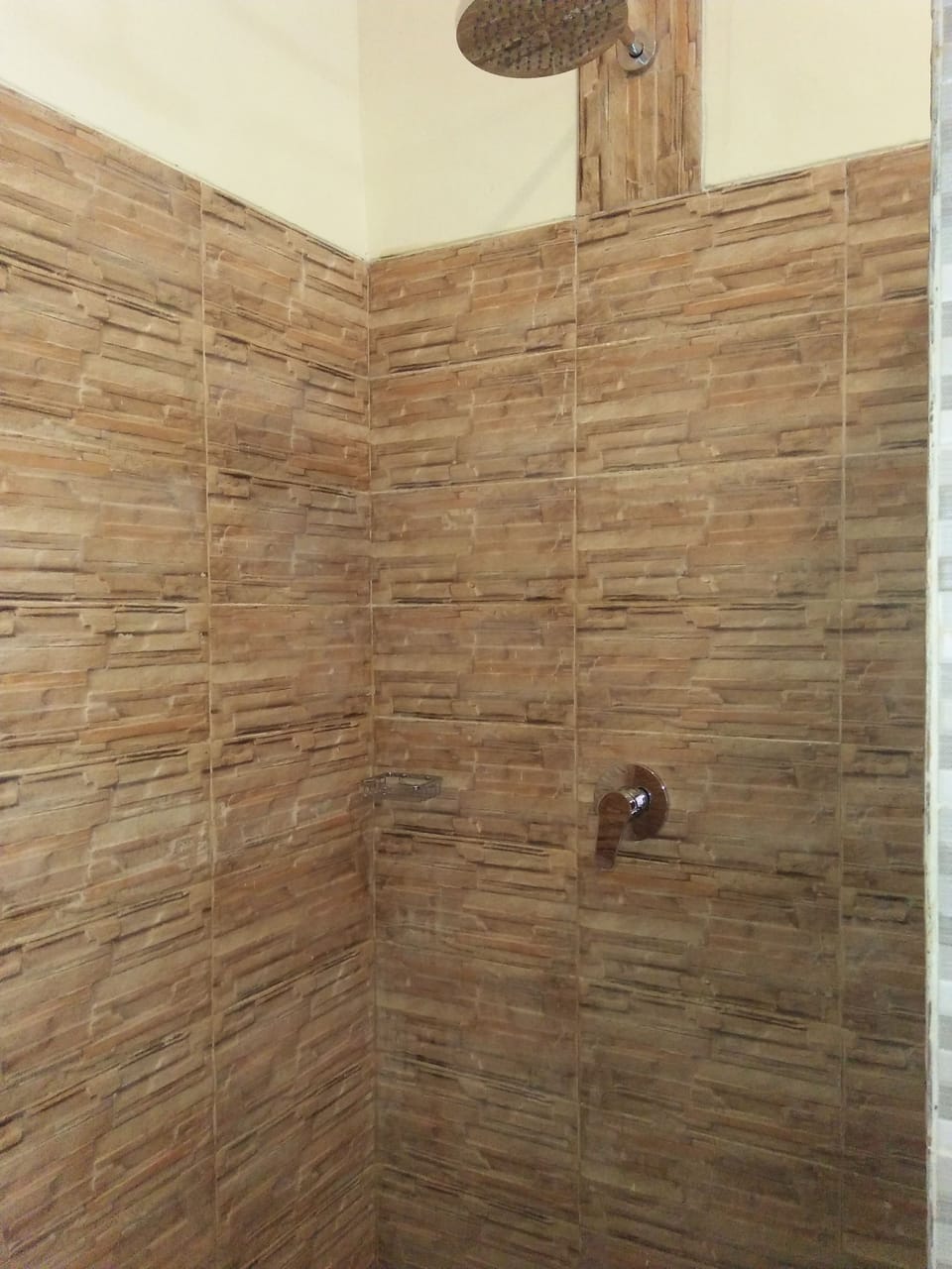 Standard Double Room | Bathroom shower