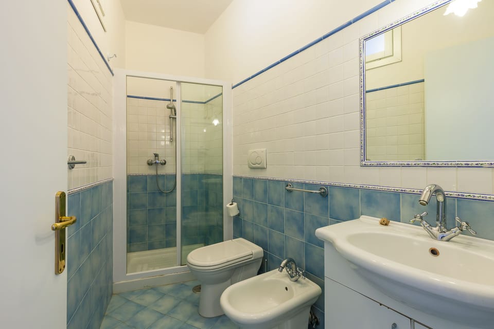 Shower, free toiletries, hair dryer, bidet