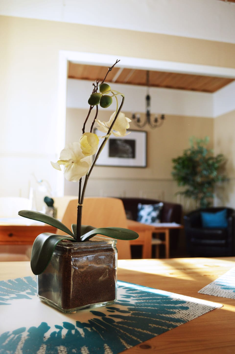 Property amenity