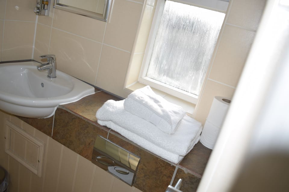 Standard Double Room, 1 Double Bed | Bathroom | Shower, free toiletries, hair dryer, towels