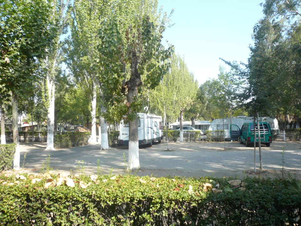 Basketball court
