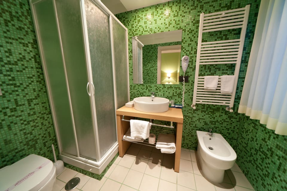 Shower, free toiletries, hair dryer, bidet