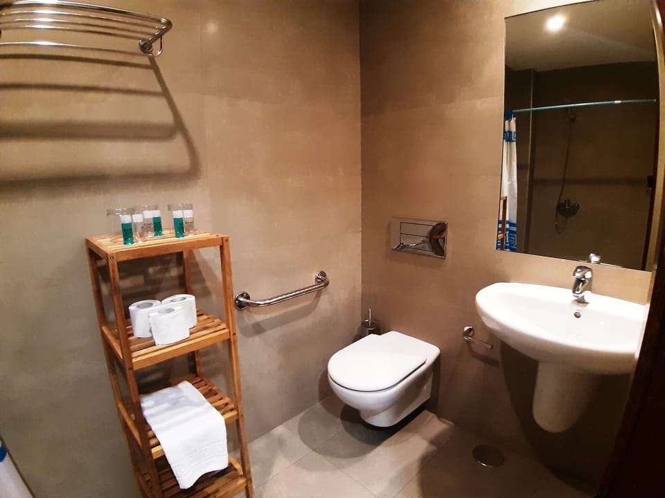 Triple Room (Adapted room) | Bathroom | Shower, hair dryer, towels, soap