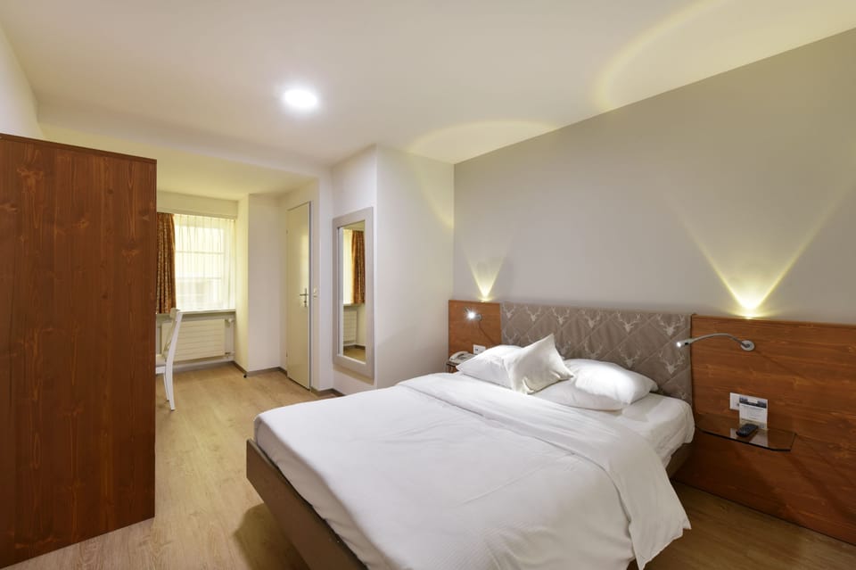 Double Room (Grandlitzimmer) | Desk, free WiFi, bed sheets