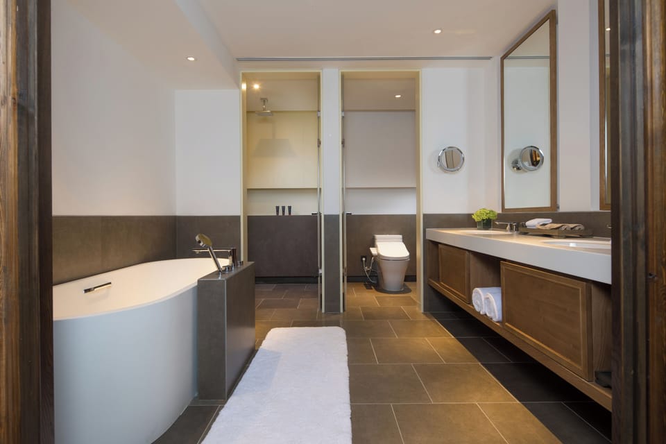 Separate tub and shower, free toiletries, hair dryer, bathrobes
