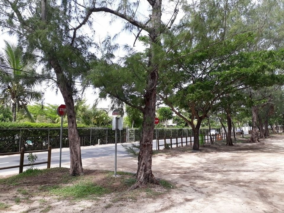Property grounds